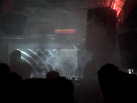 shook up mit alma gold