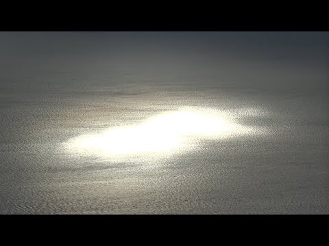 Video thumbnail for Swimmer