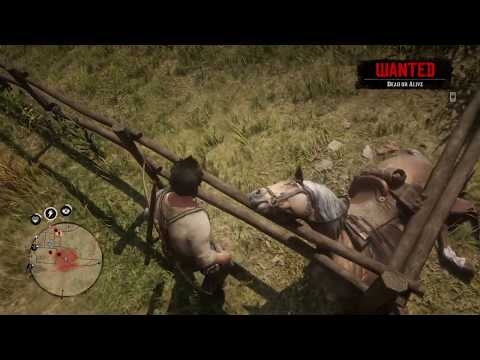 The Worst Horse Death Ever! - Red Dead Redemption 2