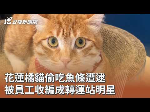 youtube影片