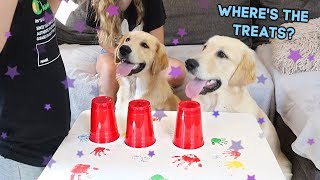 DOGS PLAYING 3 CUP SHUFFLE ~ CAN THEY FIND THE TREATS?