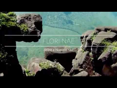FLORI NAE - SFANT E NUMELE TAU