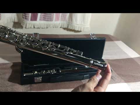 Flauta Transversal Júpiter JFL-511 ES Afinação em C