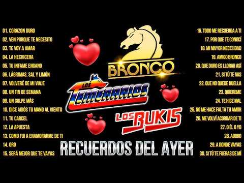 Los Temerarios, Bronco, Los Bukis, Viejitas Pero Bonitas Románticas, 40 Éxitos Del Recuerdo Mix