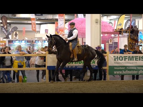 Stefan Baumgartner - Equitana 2023