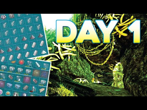 Claiming The BEST Cave On The Cluster!