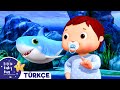 Baby Shark Dansı Little Baby Bum Türkçe Bebek Şarkıları Ve Çizgi Filmler