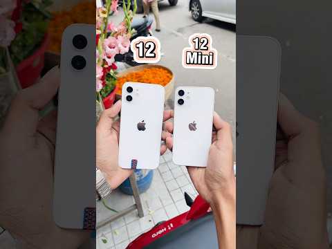 iPhone 12 Vs iPhone 12 Mini || Camera Test ! #shorts