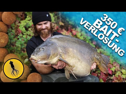 Scopex Squid Boilies von Nash unter der Lupe! Inklusive Gewinnspiel