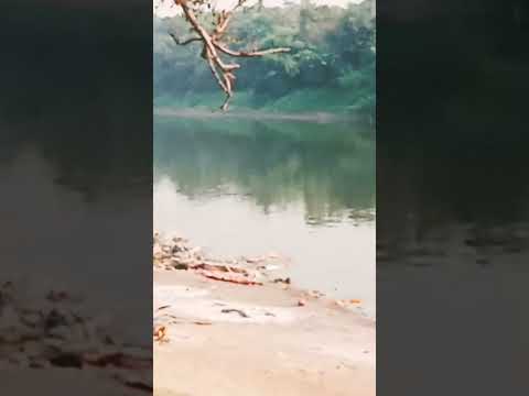 dayashankar Sultanpuri like🙏 subscribe 🙏👍