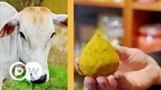 Miniatura do vídeo