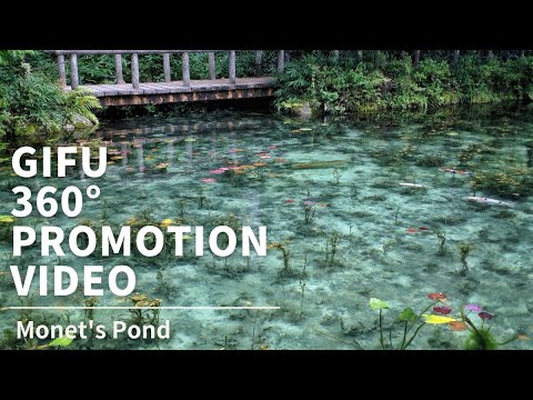 Visiting Monet's Pond, Gifu | Japan 360º VR TOUR