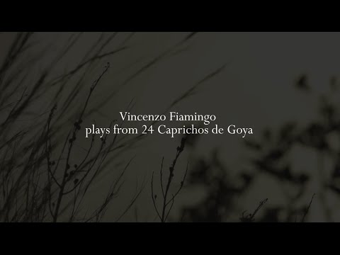 Vincenzo Fiamingo plays Capricho de Goya no. 20 (Obsequio a el maestro)