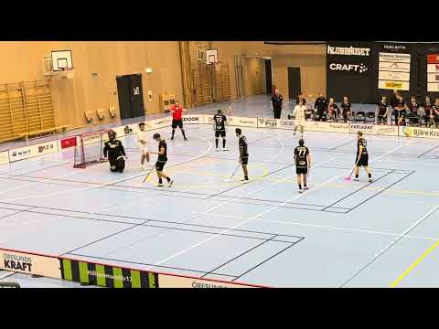 Highlights Div.1 Södra Götaland Åstorp/Kvidinge IBS - Vetlanda IBF 1-8