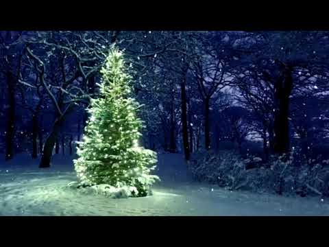 Bruce Kurnow: Nature’s Noël