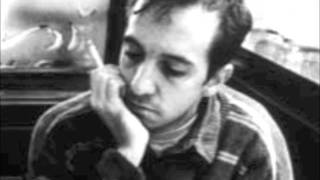 The Magnetic Fields- Nothing matters when we're dancing