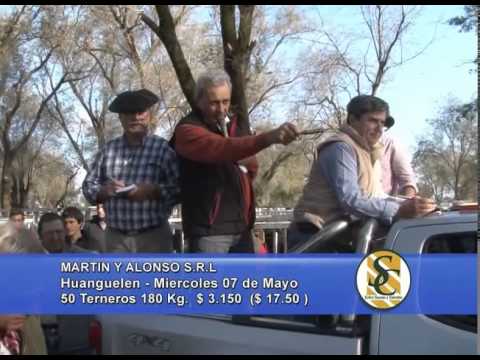 Martin y Alonso S.R.L. - Huanguelén - 07/05/2014