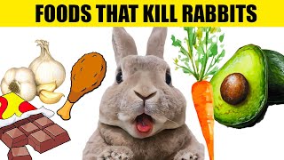 14 Foods That Will KILL Your Rabbit by Lennon The Bunny