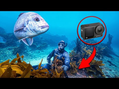 DJI OSMO ACTION 4 hands on REVIEW. Is this the best UNDERWATER ACTION CAMERA?