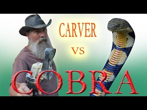Carving  a King Cobra Walking Stick from Wood