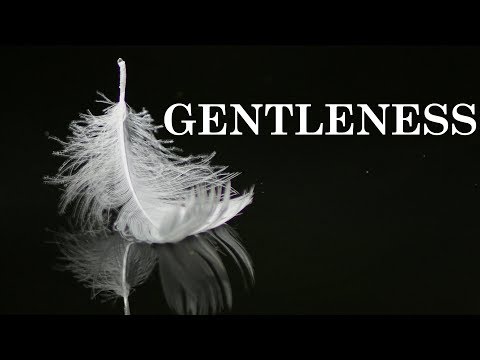 Gentleness of Devotees (SB.3.19.2-14)