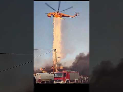 Amazing firefighters. Thank you.