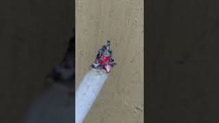 Download lagu story wa new monata cak Sodiq mp3 Download lagu story wa new monata cak Sodiq mp3