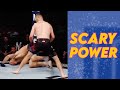 Terrifying Power Punchers Throughout MMA History