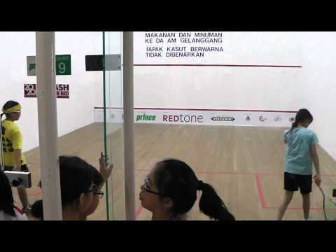 WSF Squash 2012 Wii