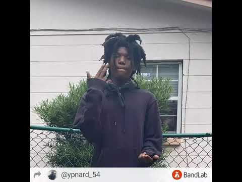 ypn nard ft ysn shunn south babys no cappin