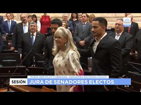 JURA SDORA PILATTI VERGARA MARÍA INÉS  CHACO SESIÓN 27-11-19