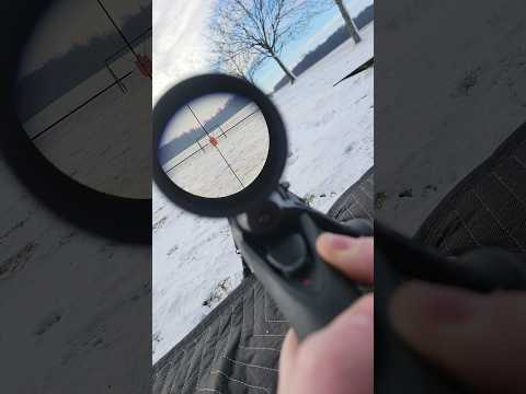 .223, WILL IT DROP A DEER? WINCHESTER POWER POINTS 🦌🤔🤷‍♂️