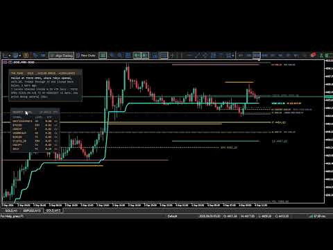 Video Quant Key Levels