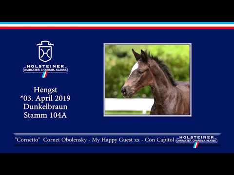 Holsteiner Fohlenauktion am 15. Juni 2019 | Nr. 02 - Cornetto v. Cornet Obolensky-My Happy Guest xx