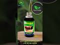 Nabhi Panchkarma Ayurvedic Herbal Oil Naveloil Naveloil