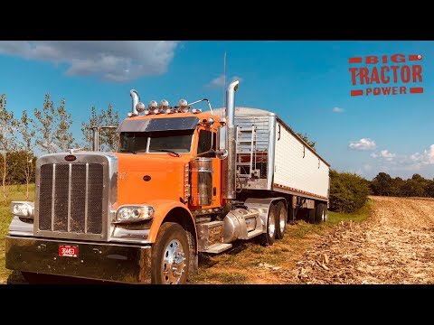 Peterbilt 389 Truck Moving the Corn Harvest 1,000 bu. at a Time