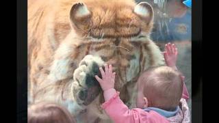 Alberto Plaza - Amigo.