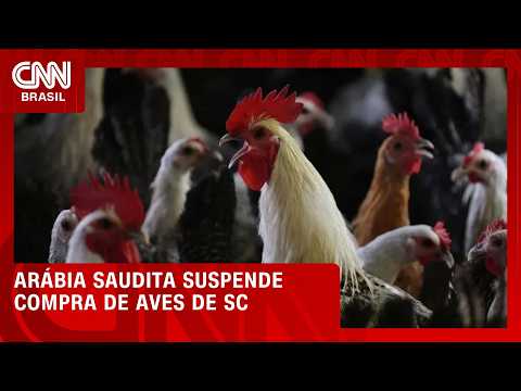 Arábia Saudita amplia suspensão de compra de aves para todo estado de SC | CNN AGRO NEWS