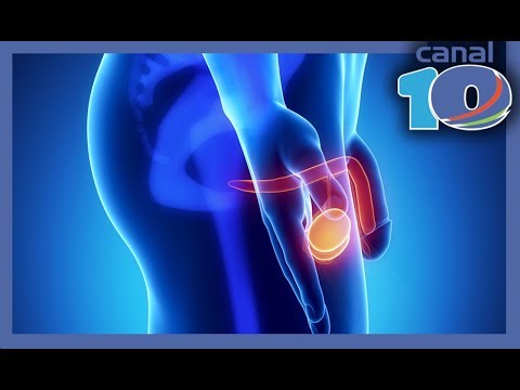 Mit jelent az ehogenitás?? - Cholecystitis 