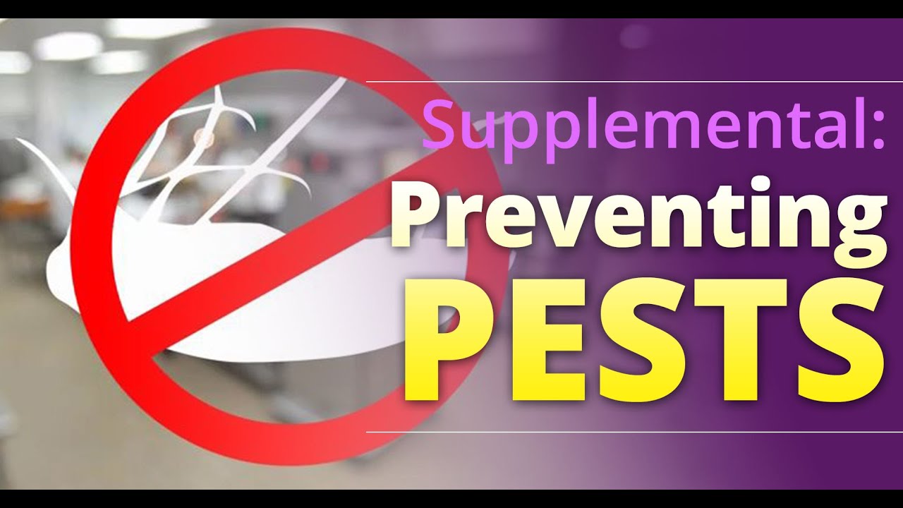 eFoodHandlers presents: Preventing Pests