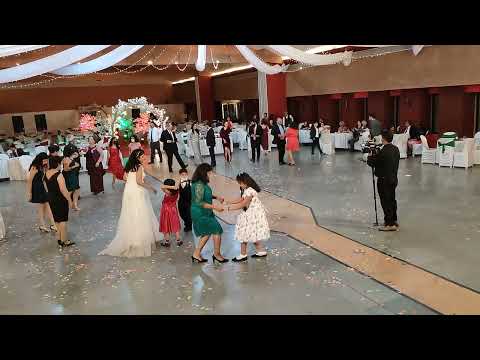 Goan band Lace 2022 - Mama Eu Quero