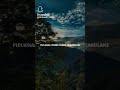 Hi Nana Movie Song Emaina Thappantha Nadele Song WhatsApp Status