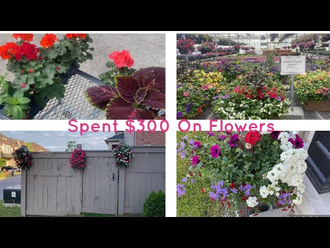 We Spent Over $300 On Flowers For The House  ||  It's Almost Summer || Lifestyle With Robina