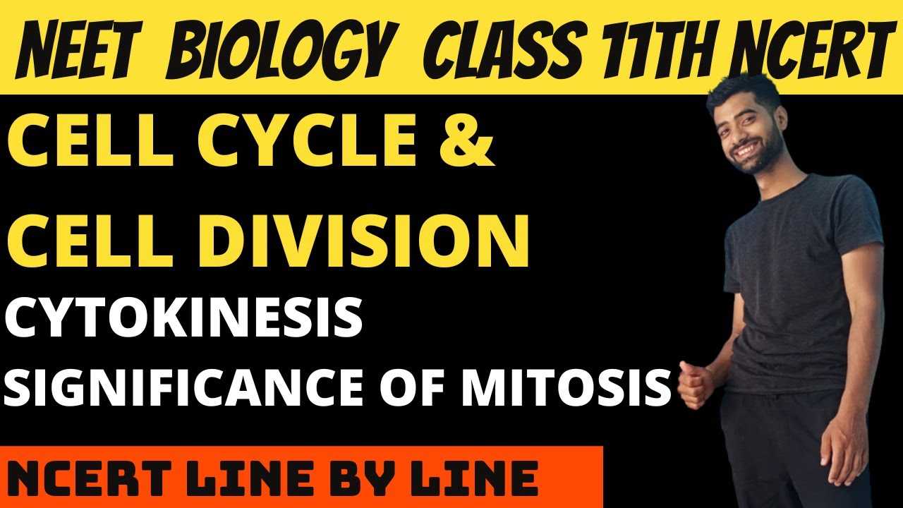 Cytokinesis and Significance of Mitosis | Cell cycle and cell division | Class 11th Biology