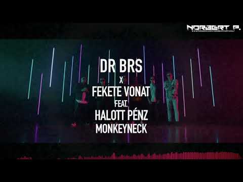 DR BRS X Fekete Vonat feat. Halott Pénz, Monkeyneck - Hol van az a lány (Norbert P. Club Mix)