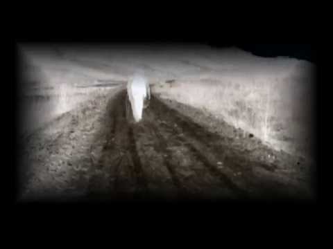 SPIRIT şi MATERIE  trailer