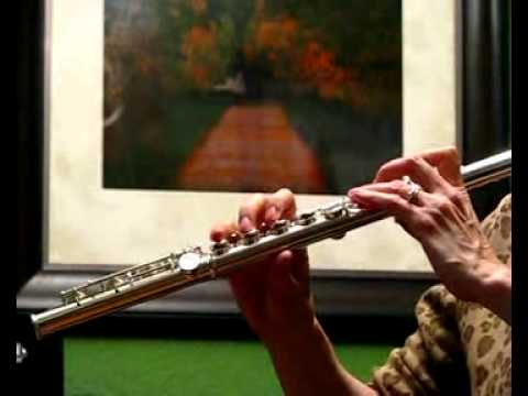 Di Zhao Sterling Silver (Head, Body and Foot) Flute (DZ600) -Demo of Low Register