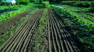 Now is The Time for These Soil Tasks