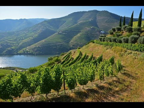 image-Who cruises the Douro River?