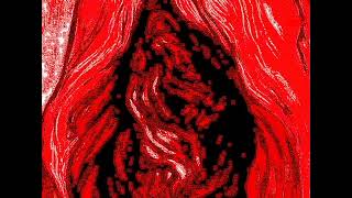 Syd Barrett  •  MAISIE